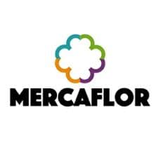 Mercaflor - Imagen 1