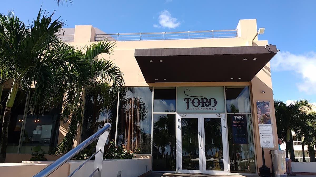 Toro - Imagen 1