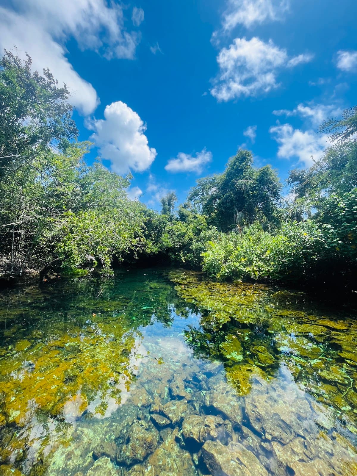 Beach Entry Ecological Reserve - Imagen 2
