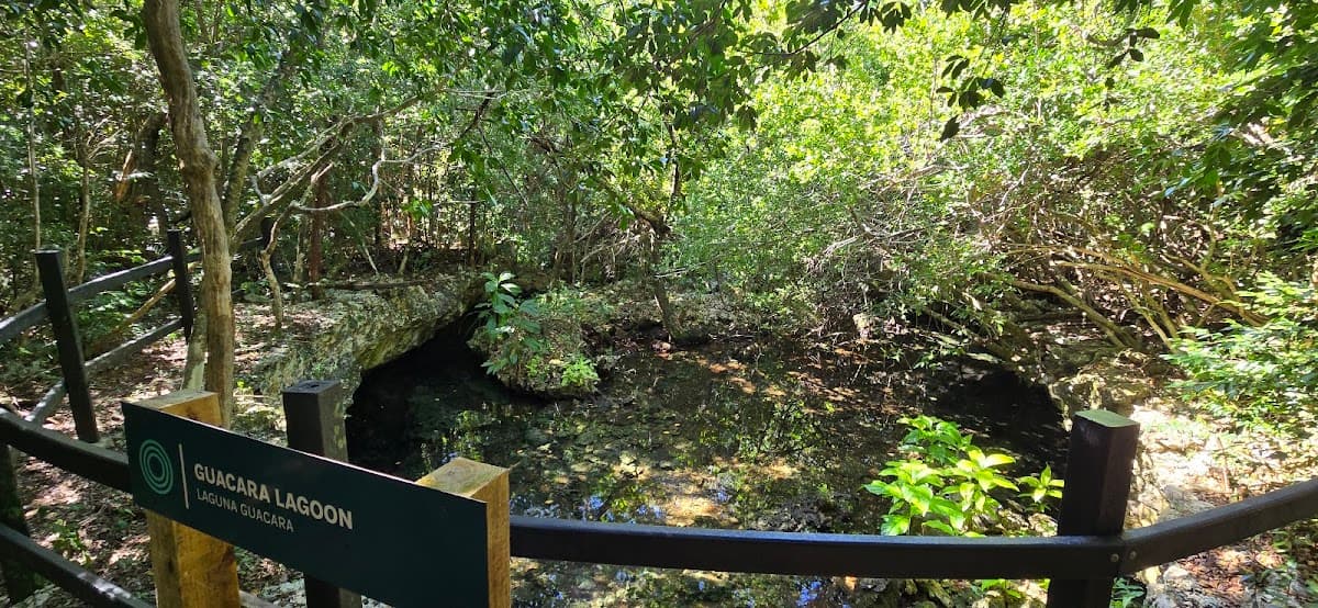 Beach Entry Ecological Reserve - Imagen 3