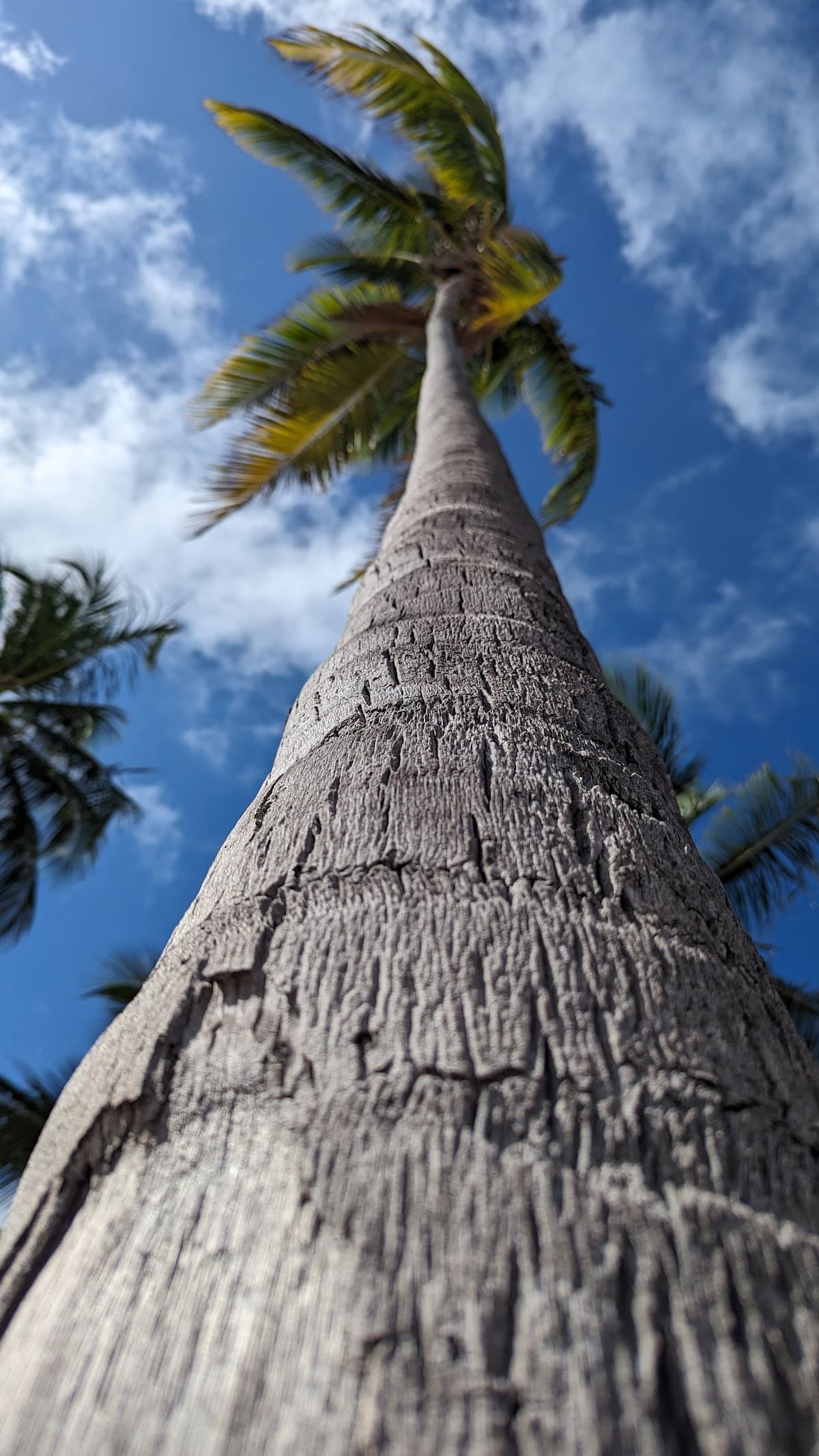 Beach Entry Ecological Reserve - Imagen 1