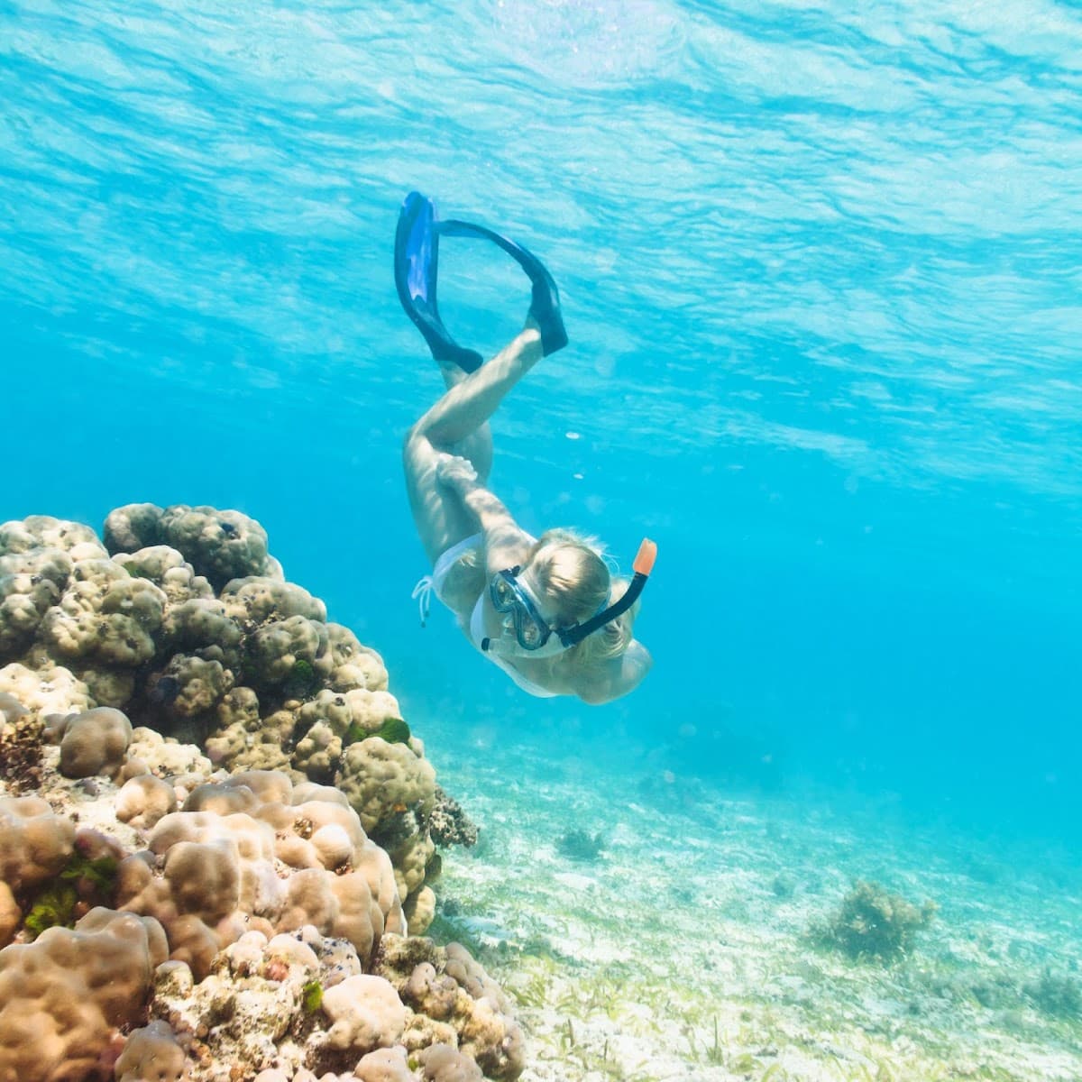 ScubaCaribe - Diving & Water Sports - Imagen 1