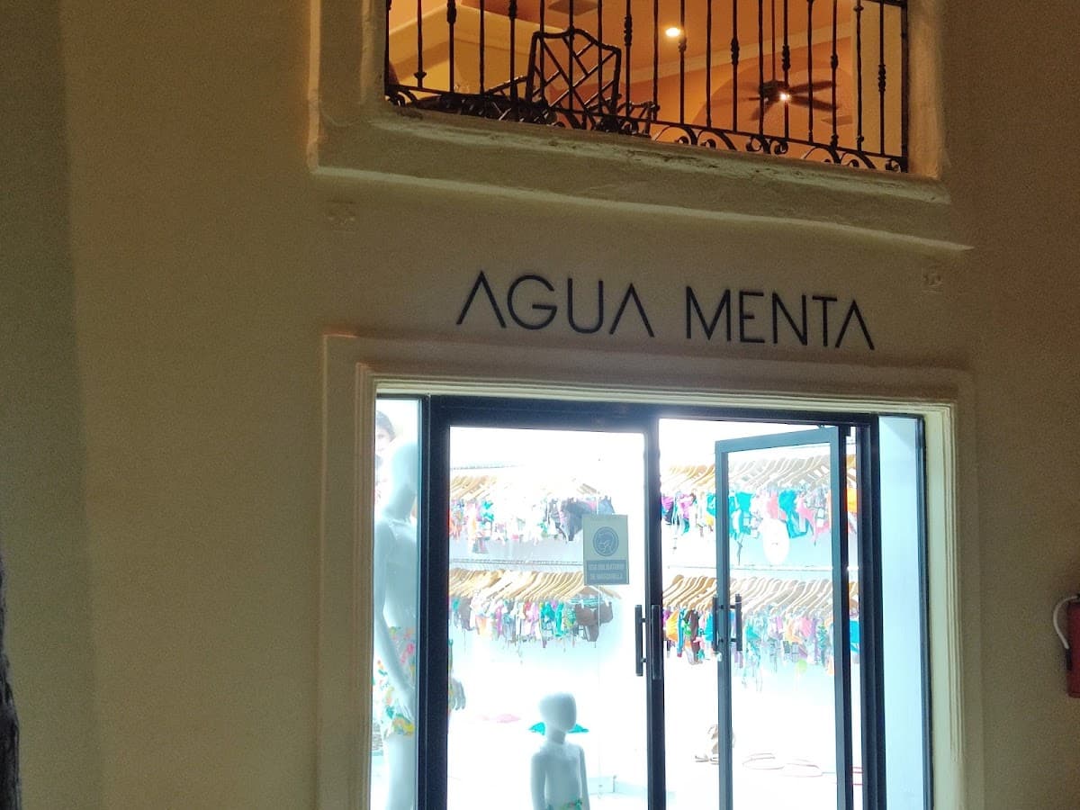 Agua Menta Occidental - Imagen 1