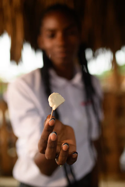 Gastronomía típica dominicana