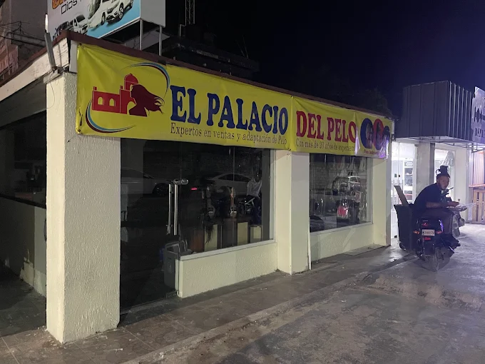 El Palacio del Pelo