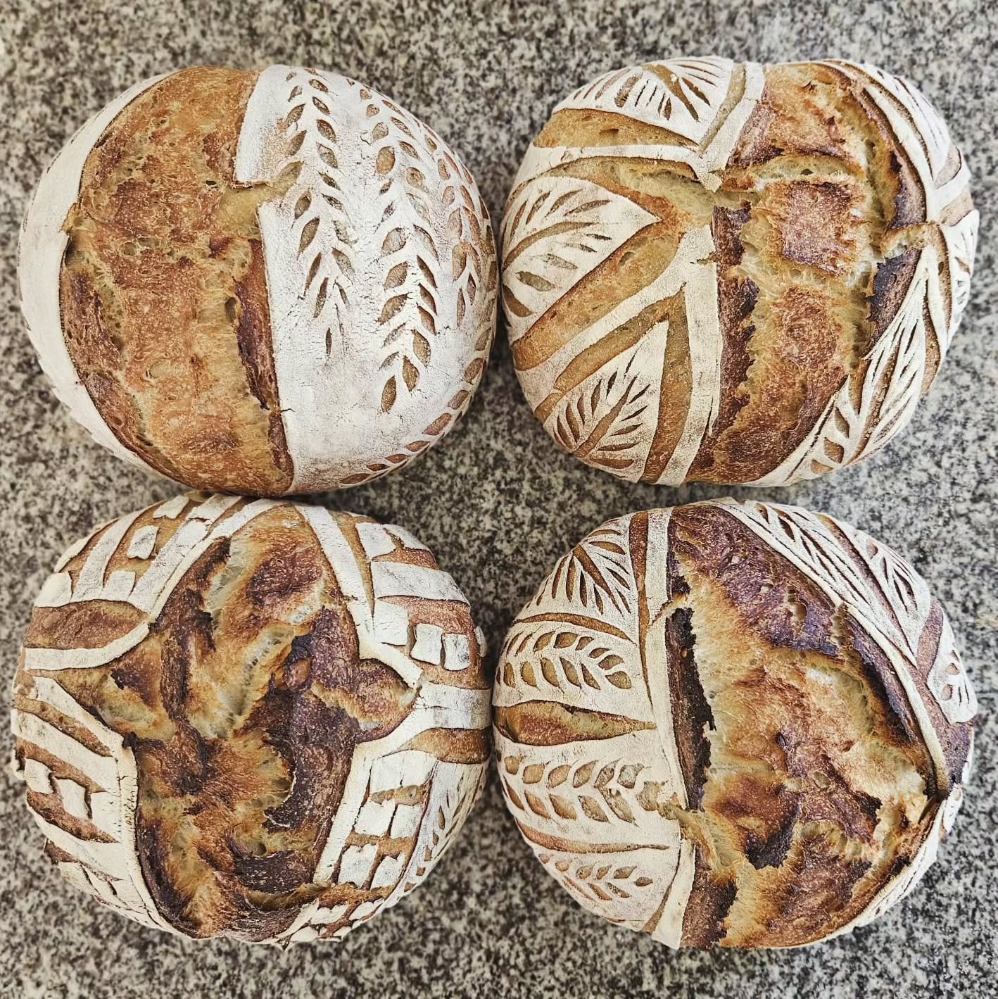 448000620_979087726879475_3969178425610581362_n