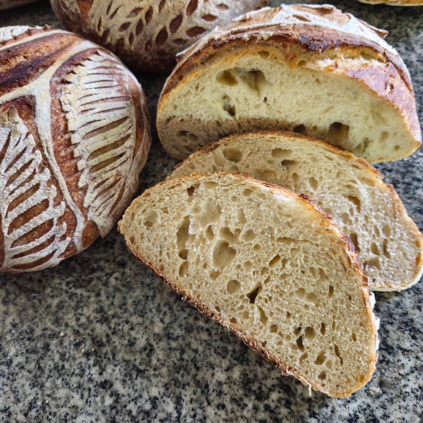 448786830_1004335884601795_6475129092828463761_n