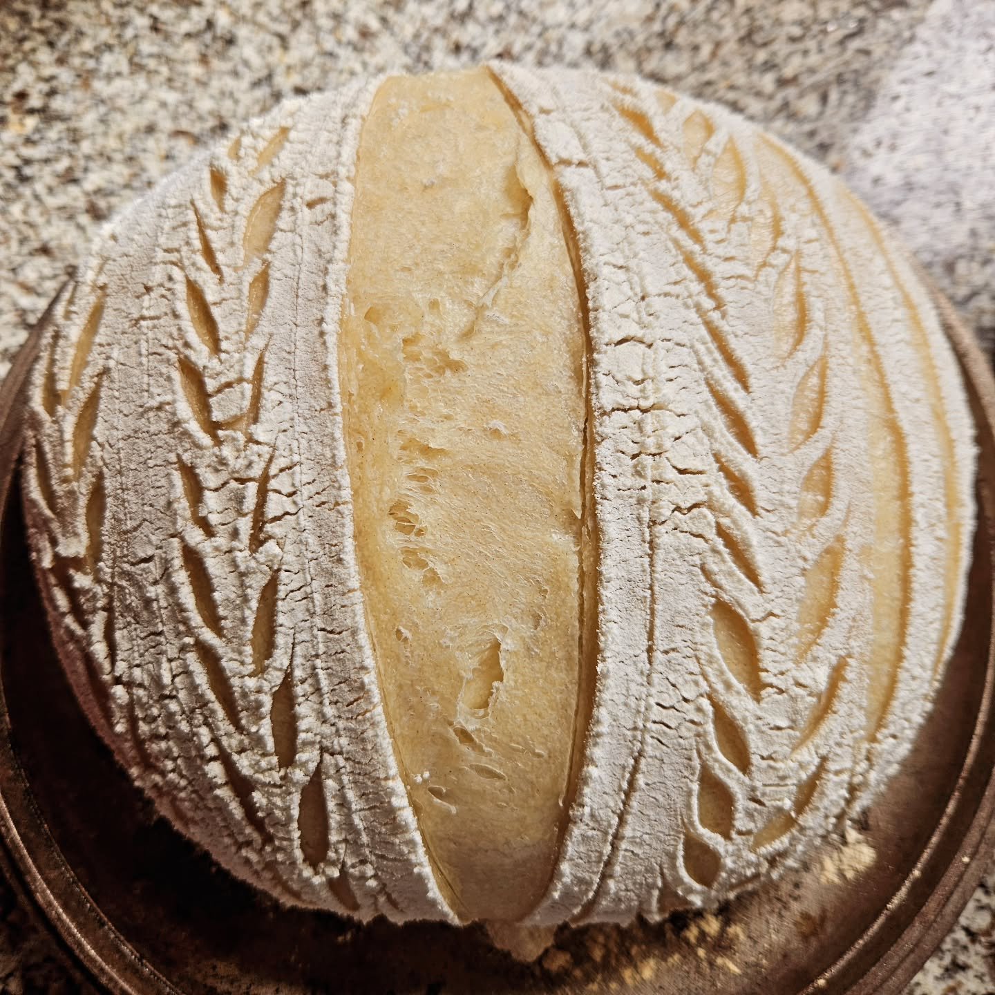 457028234_406720439096574_9109473363768853260_n