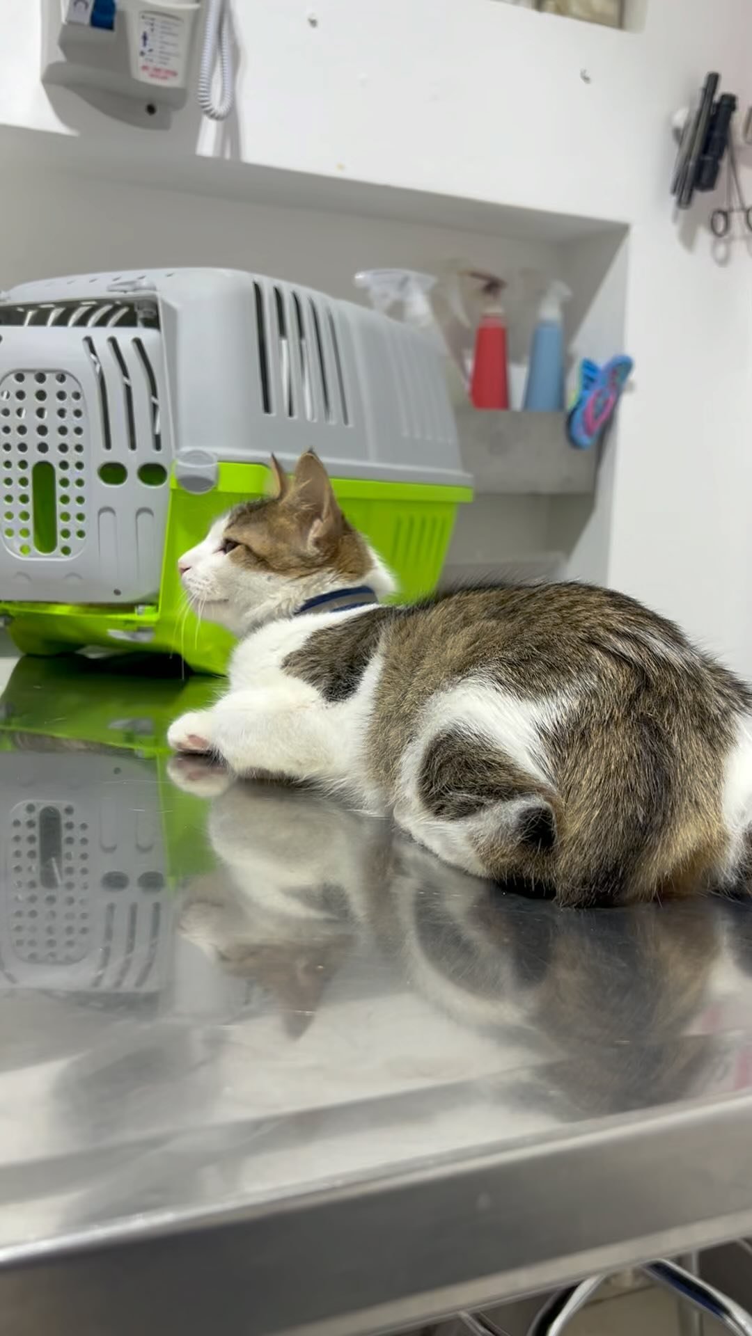 506314650_1084660313722791_8339656834672205144_n