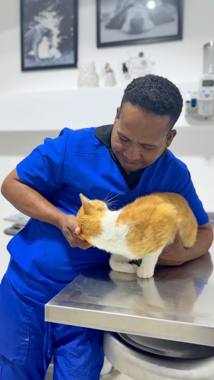 531674367_17978532488909667_848417372481674709_n