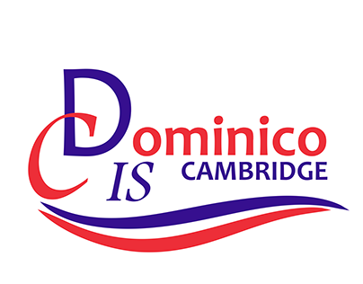 Dominico Cambridge International School2