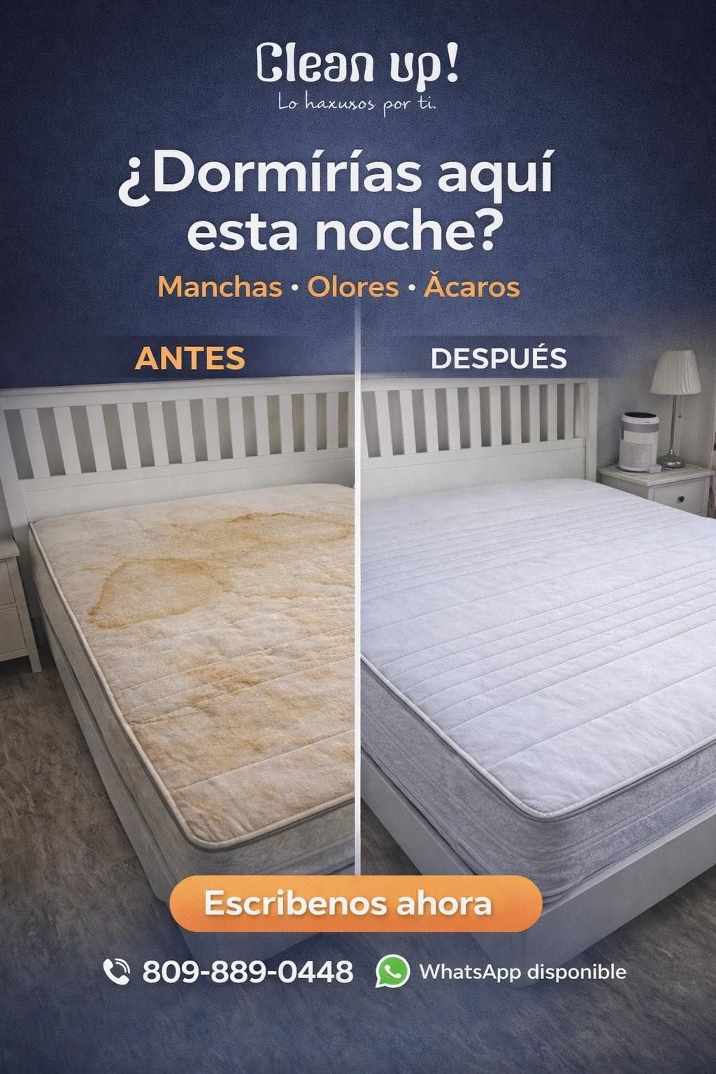 WhatsApp Image 2026-01-22 at 11.38.02 AM