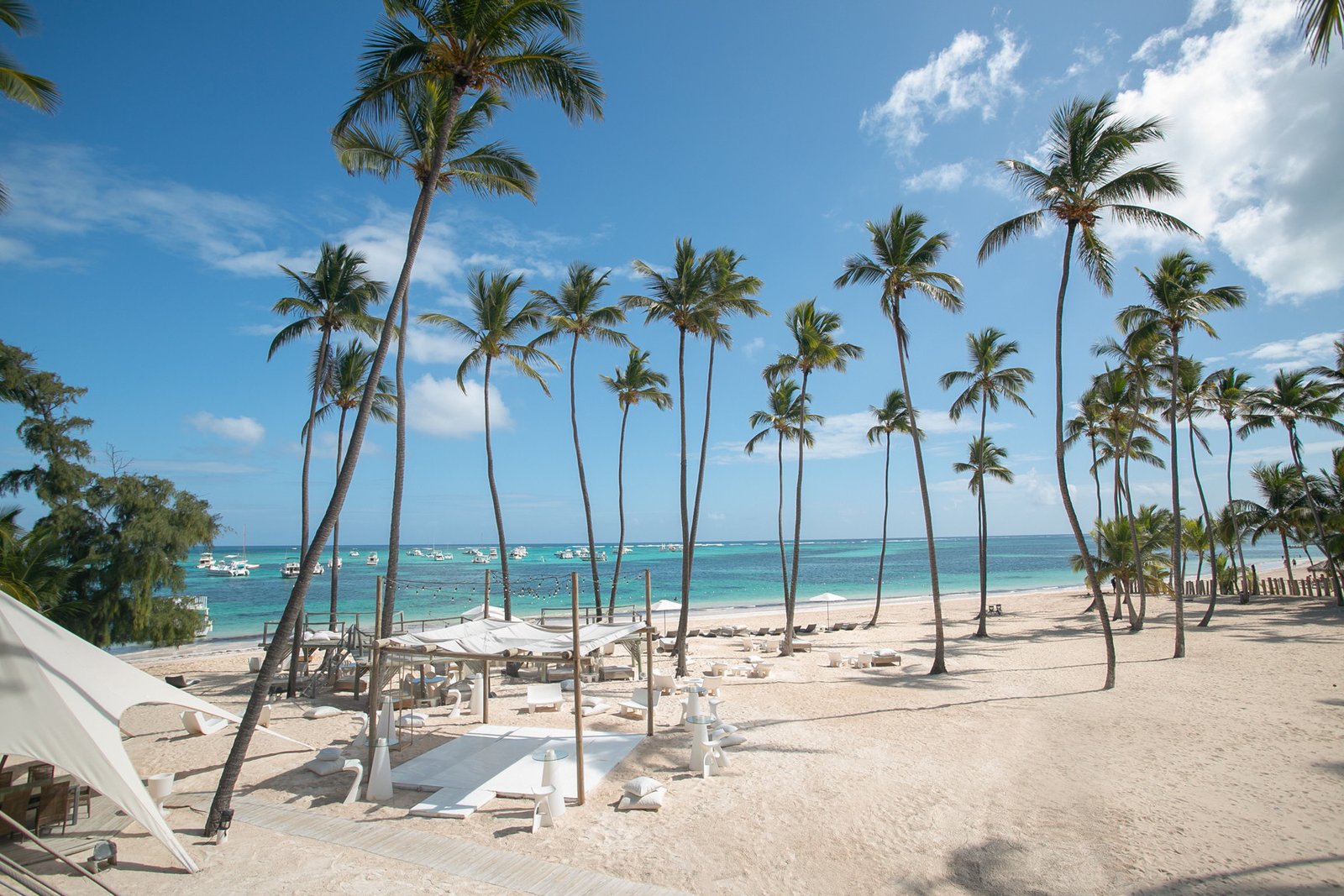 jelly fish restaurant