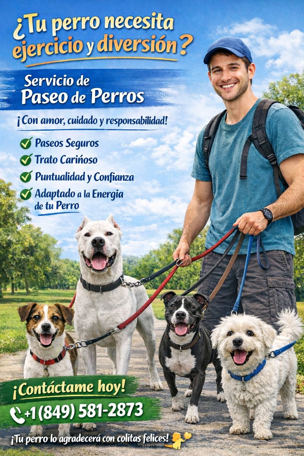 Paseo de perros